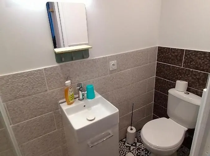 Des Roses - T2, 31m2, 1er Etage, Vue Jardin, 